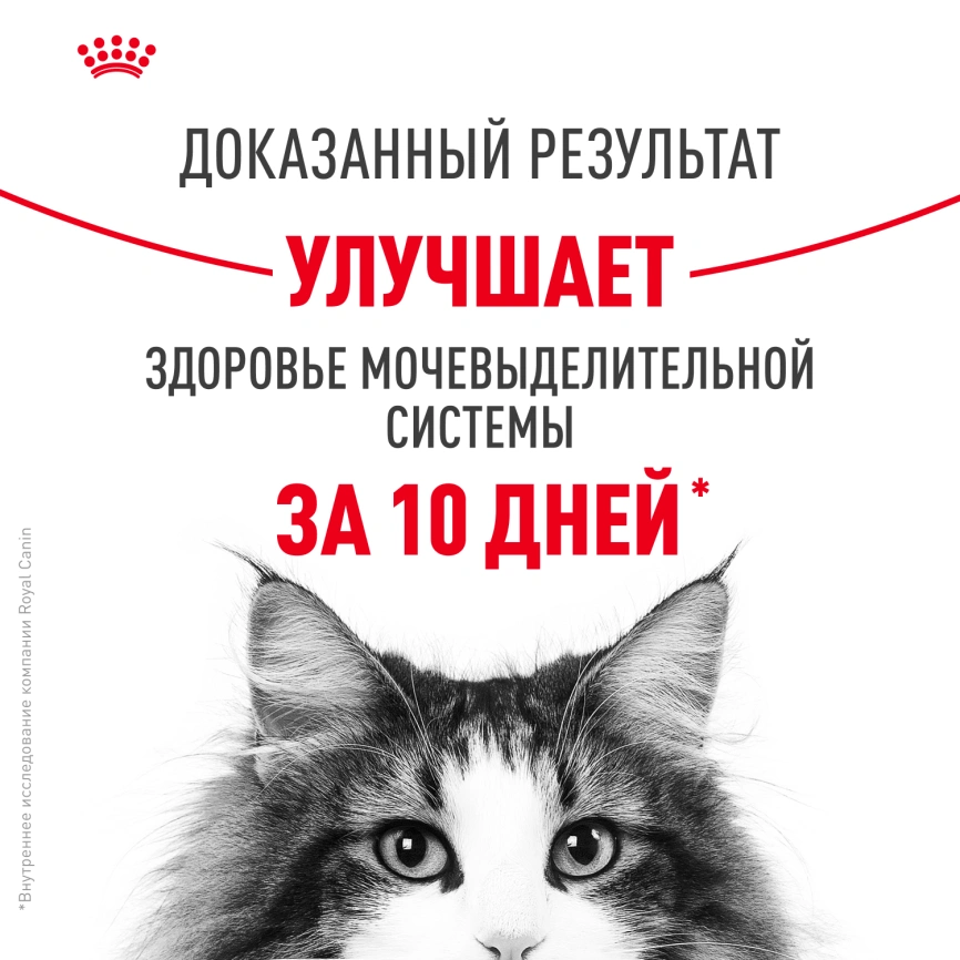 Сухой корм Royal Canin Urinary Care для кошек для профилактика мочекаменной болезни, 400 г фото 4
