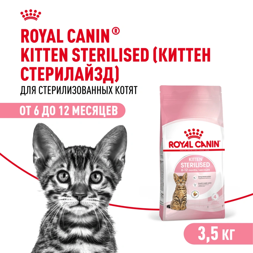 Сухой корм Royal Canin Kitten Sterilised для котят, 3,5 кг фото 1