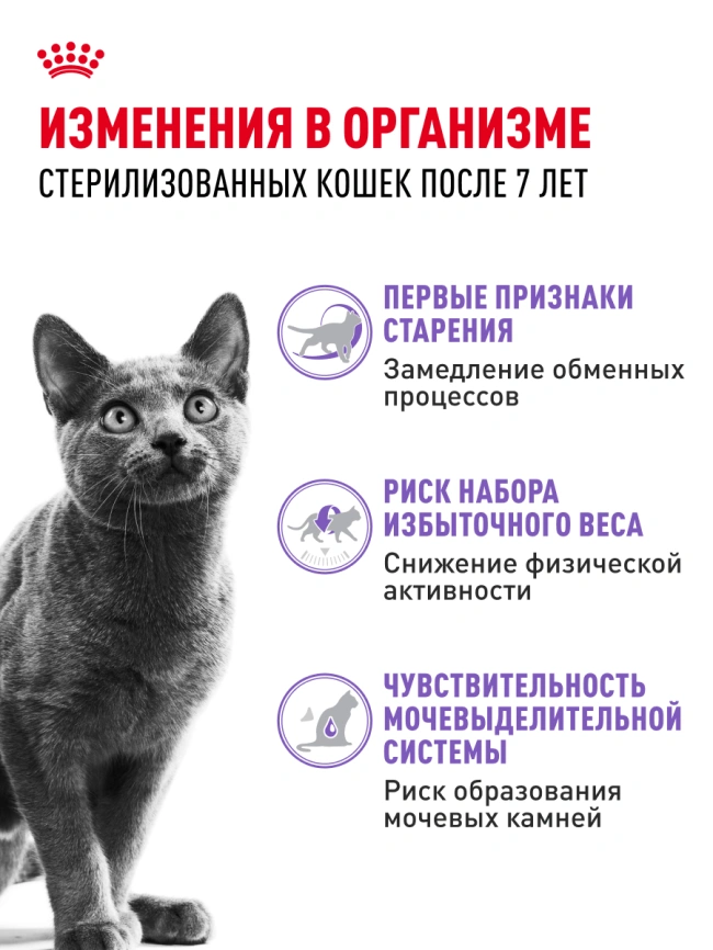 Сухой корм Royal Canin Sterilised 7+ для стерилизованных кошек и кастрированных котов, 400 г фото 15