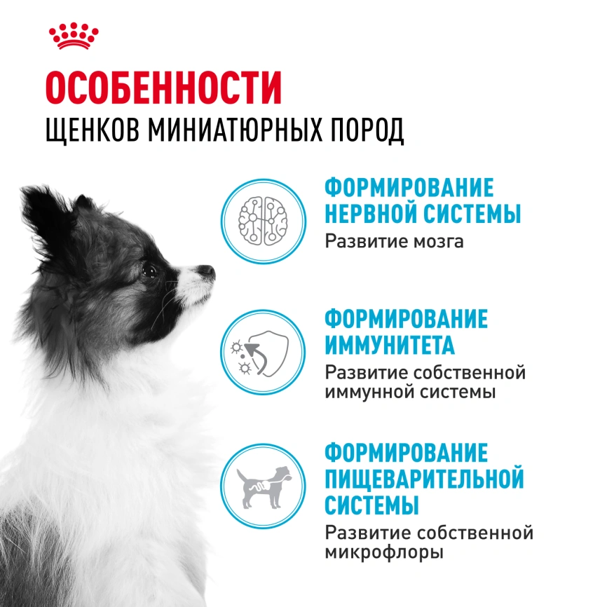 Сухой корм Royal Canin X-Small Puppy для щенков, 1,5 кг фото 2