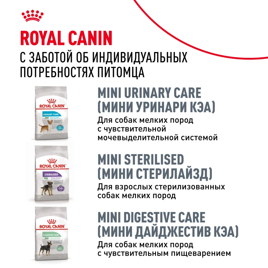 Сухой корм Royal Canin Pug Adult для взрослых собак, 500 г фото 10