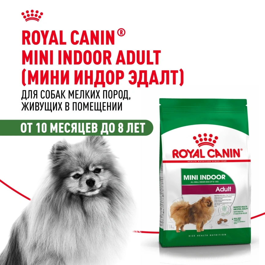 Сухой корм Royal Canin Mini Indoor Adult для собак, 3 кг фото 14