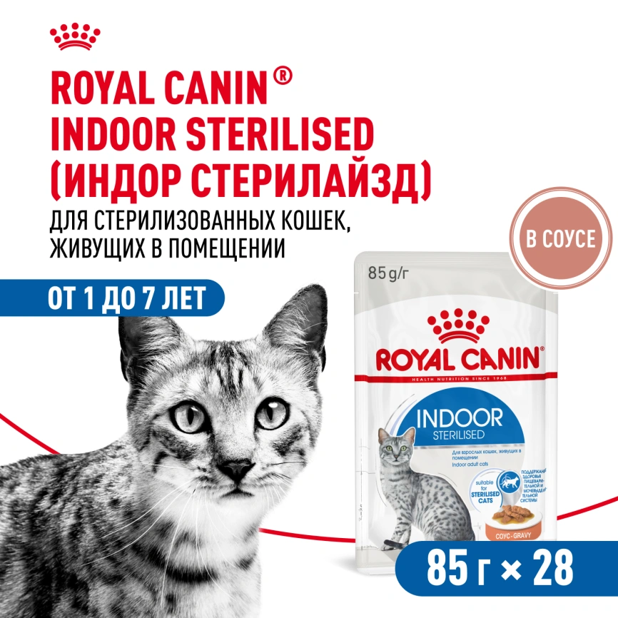 Влажный корм Royal Canin Indoor в соусе для кошек, живущих в помещении, пауч, 85 г фото 14