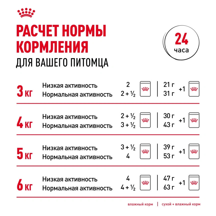 Влажный корм Royal Canin Appetite Control Care в желе для взрослых кошек, для контроля выпрашивания корма, пауч, 85 г фото 8