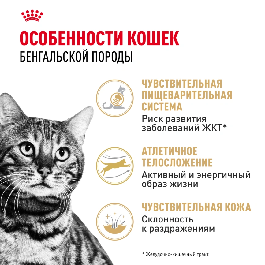 Сухой корм Royal Canin Bengal для кошек бенгальской породы, 400 г фото 2