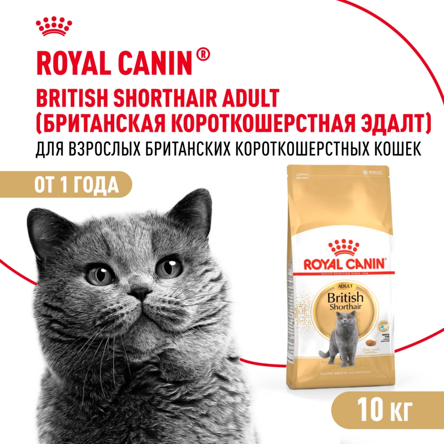 Сухой корм Royal Canin British Shorthair для кошек породы британская короткошерстная, 10 кг фото 2