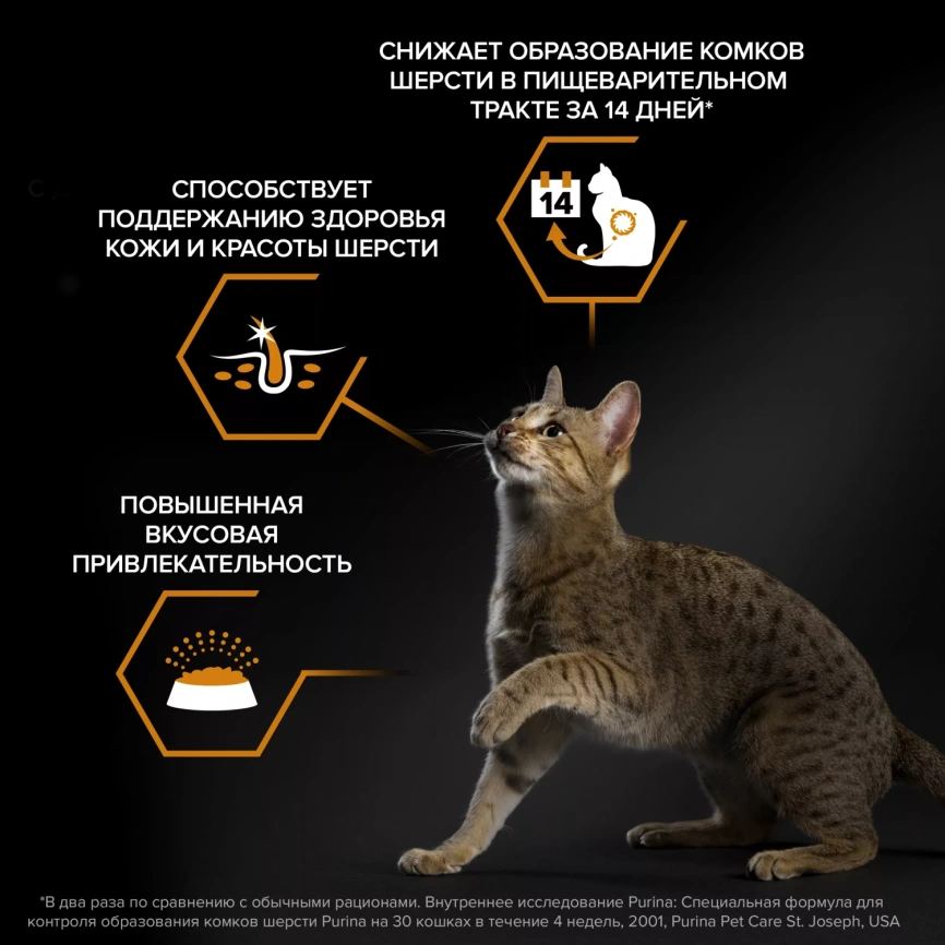 Сухой корм PRO PLAN Salmon для здоровья шерсти и кожи взрослых кошек, с высоким содержанием лосося, 10 кг фото 2