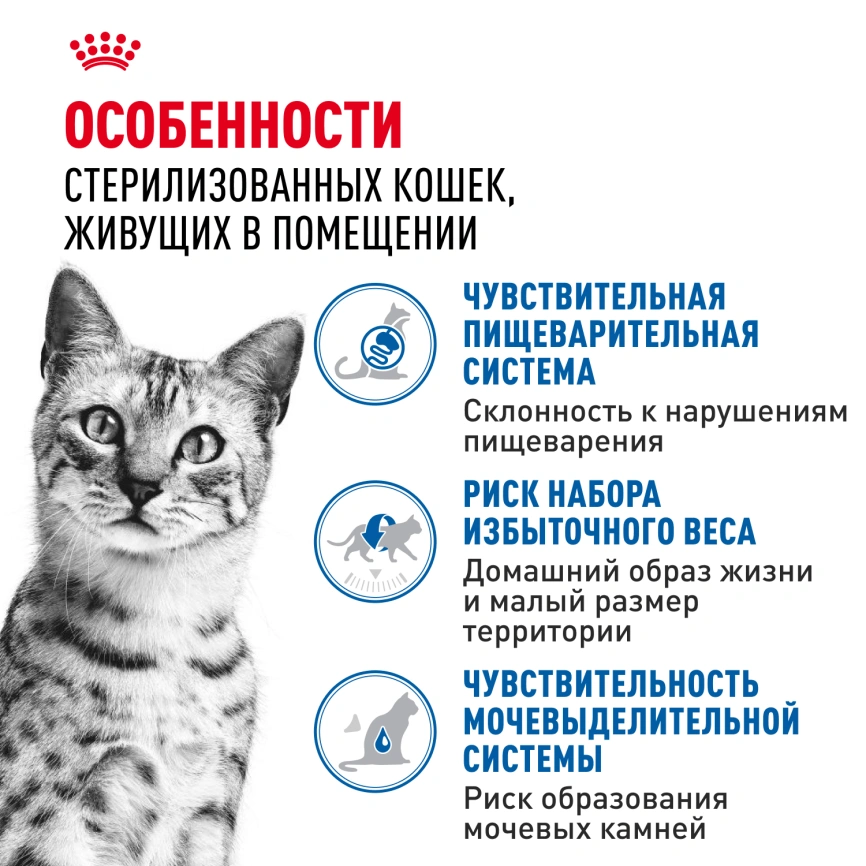 Влажный корм Royal Canin Indoor паштет для кошек, живущих в помещении, пауч, 85 г фото 2