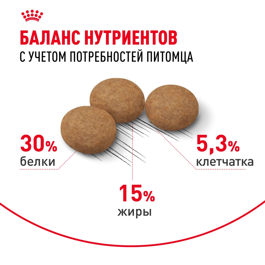 Сухой корм Royal Canin Ageing Sterilised 12+ для стерилизованных кошек старше 12 лет, 400 г фото 4