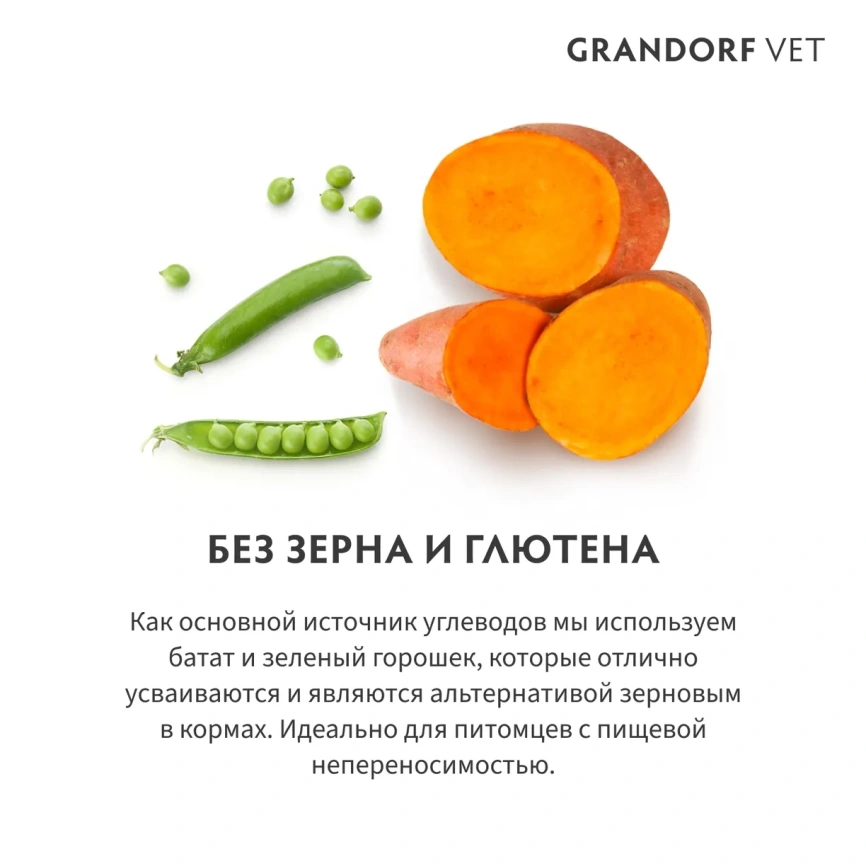 Сухой корм Grandorf Veterinary Dermatosis для кошек при дерматозах, 2 кг фото 4