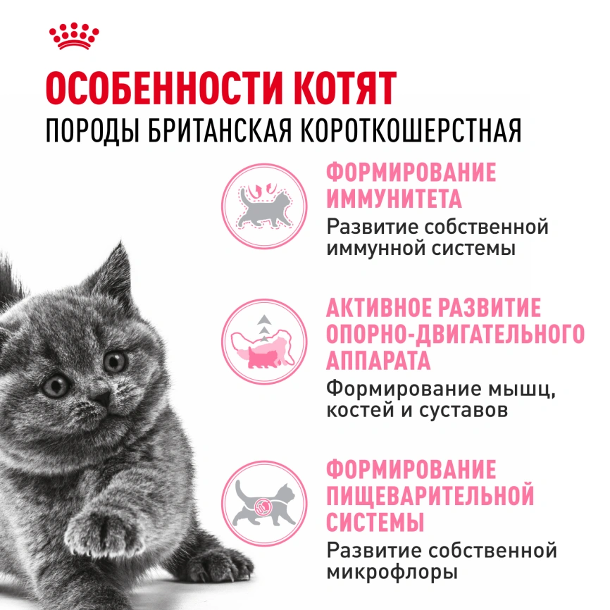 Сухой корм Royal Canin Kitten British Shorthair для котят, 10 кг фото 2