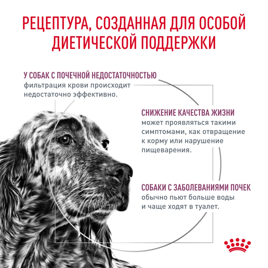 Сухой корм Royal Canin Hypoallergeniс для собак, 14 кг фото 2