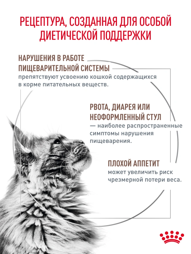 Сухой корм Royal Canin Hypoallergeniс для кошек, 350 г фото 22