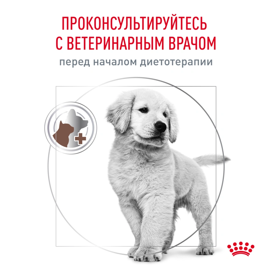 Сухой корм Royal Canin French Bulldog Puppy для щенков, 3 кг фото 8