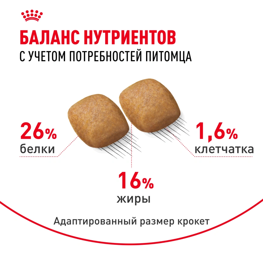 Сухой корм Royal Canin Pomeranian Adult для собак породы померанский шпиц, 1,5 кг фото 5