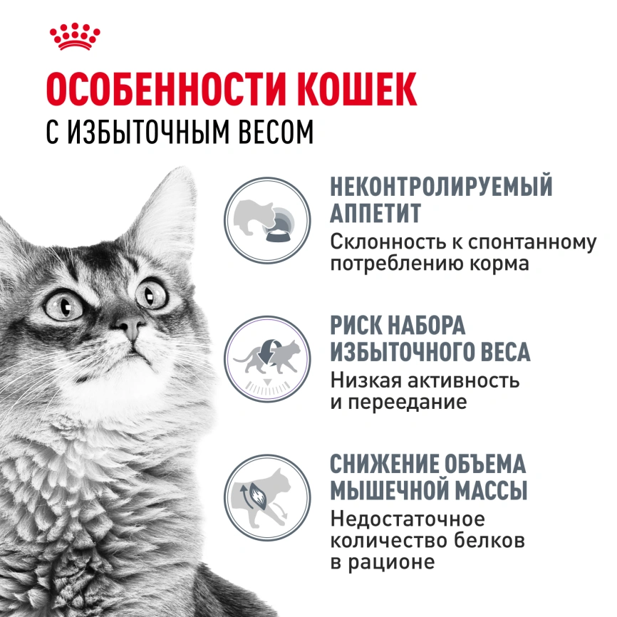 Сухой корм Royal Canin Light Weight Care для кошек, 3 кг фото 2