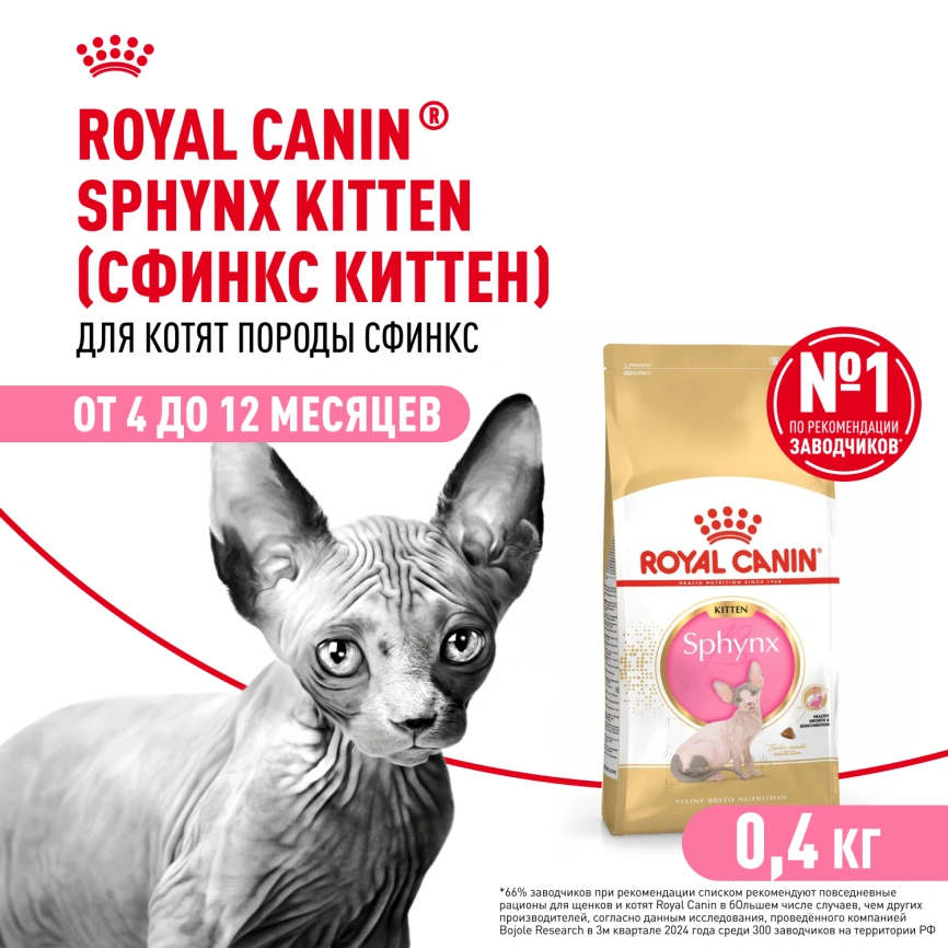 Сухой корм Royal Canin Sphynx Kitten для котят породы сфинкс до 12 месяцев, 400 г фото 2
