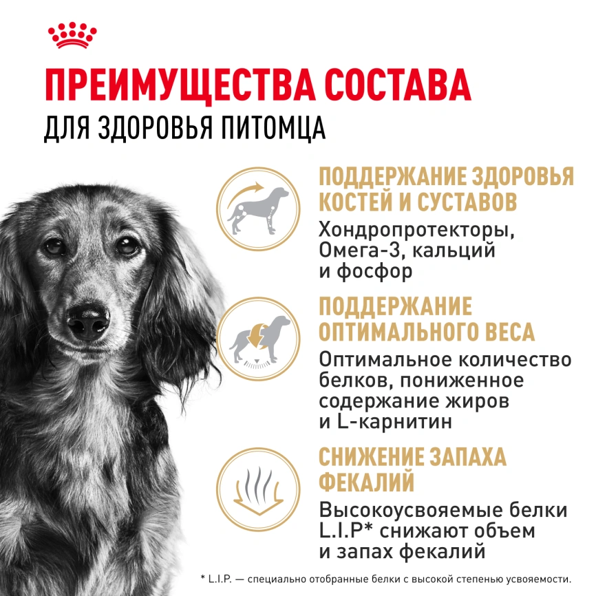 Сухой корм Royal Canin Dachshund Adult для собак породы такса, 1,5 кг фото 3