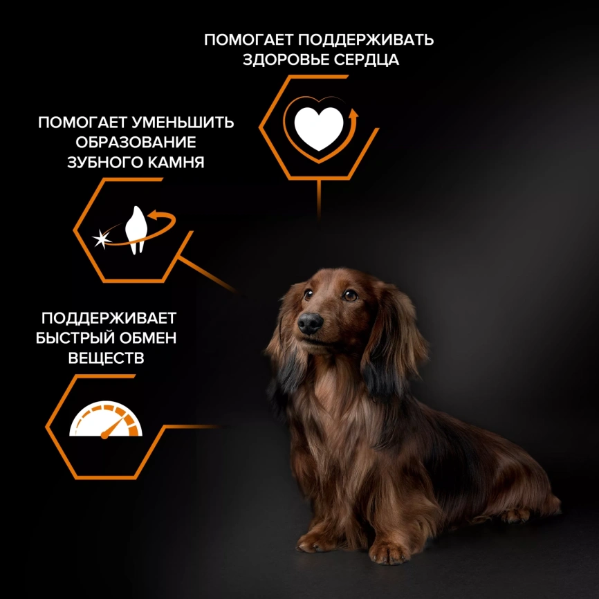 Сухой корм PRO PLAN Lamb для взрослых собак мелких и карликовых пород с чувствительным пищеварением, с ягненком, 3 кг фото 2