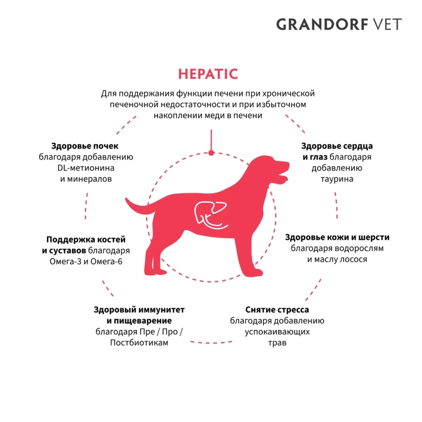 Сухой корм ALPHAPET Veterinary Diet Hepatic Adult Dog, 2 кг фото 2