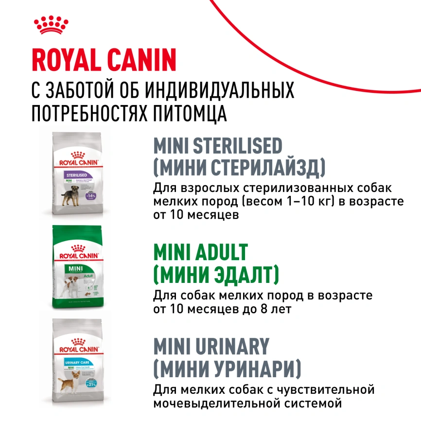 Сухой корм Royal Canin Mini Adult 8+ для пожилых собак, 2 кг фото 8