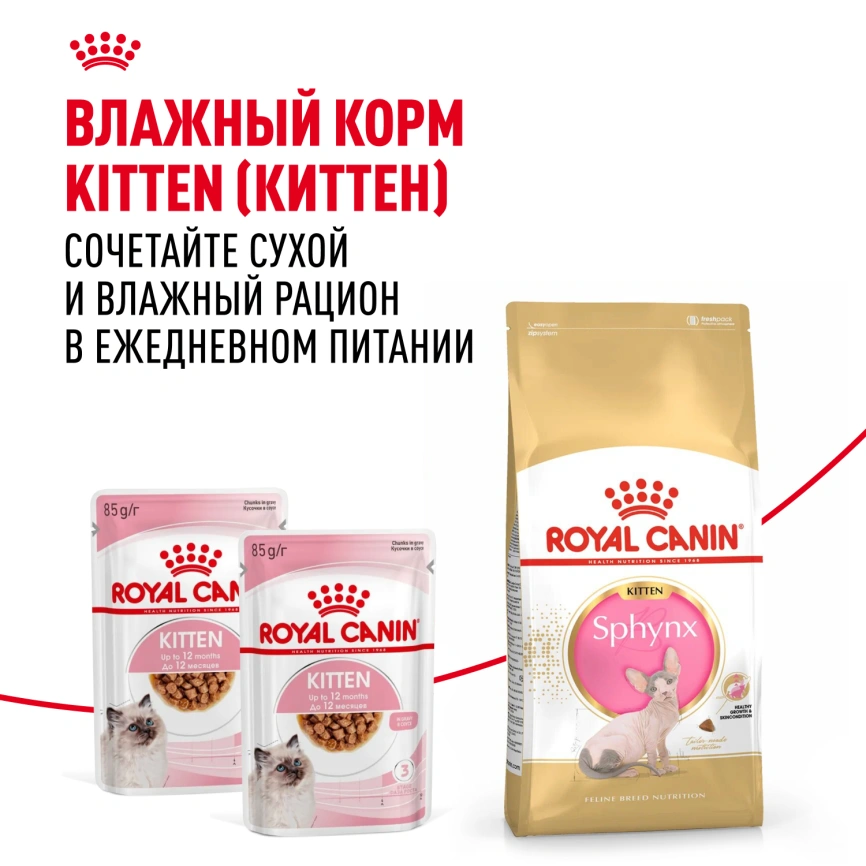 Сухой корм Royal Canin Sphynx Kitten для котят породы сфинкс до 12 месяцев, 400 г фото 10
