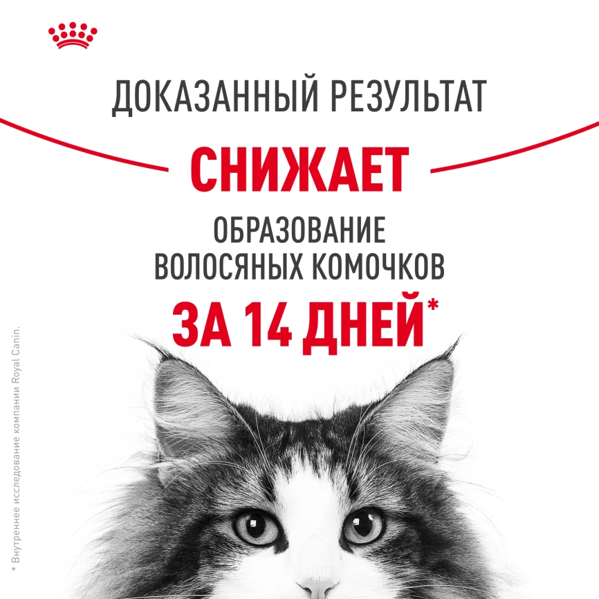 Сухой корм Royal Canin Hairball Care для кошек, 400 г фото 11