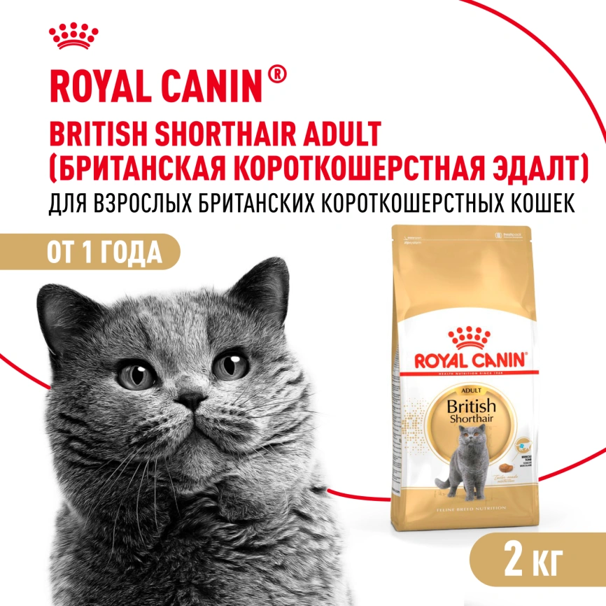 Сухой корм Royal Canin British Shorthair для кошек породы британская короткошерстная, 2 кг фото 1