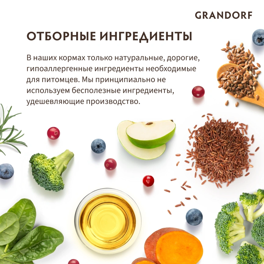 Сухой корм Grandorf 4 Meat Probiotic Mini Четыре вида мяса Meat Assortment для взрослых собак мелких пород, 8 кг фото 8