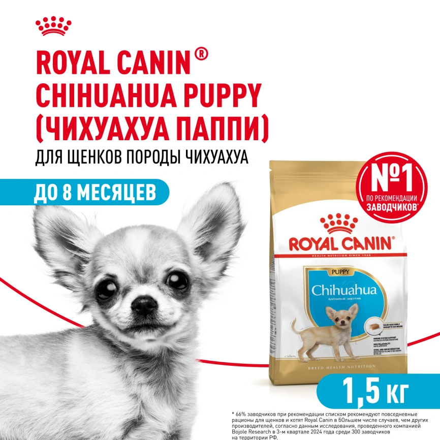 Сухой корм Royal Canin Chihuahua Puppy для щенков породы чихуахуа, 1,5 кг фото 1