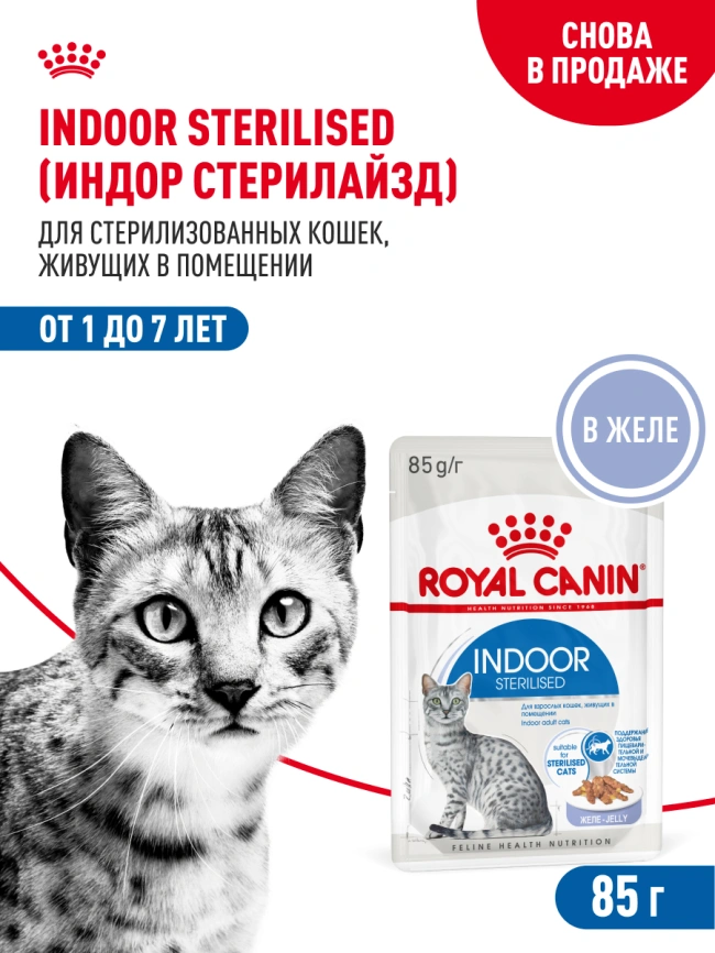 Влажный корм Royal Canin Indoor паштет для кошек, живущих в помещении, пауч, 85 г фото 15