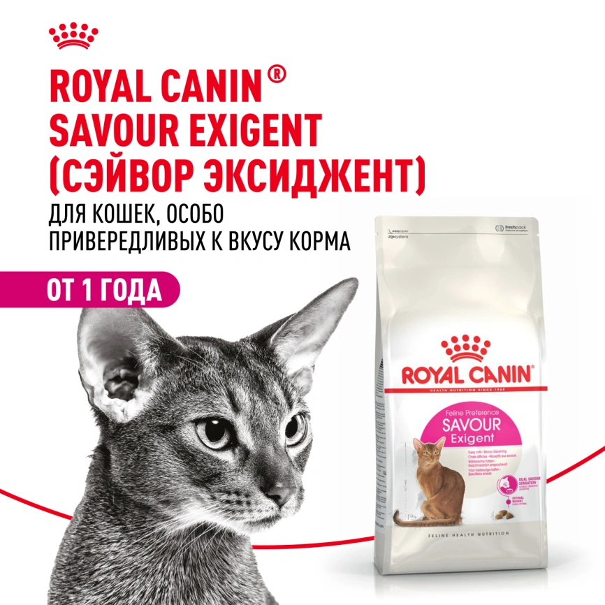 Сухой корм Royal Canin Savour Exigent для кошек, 10 кг фото 12