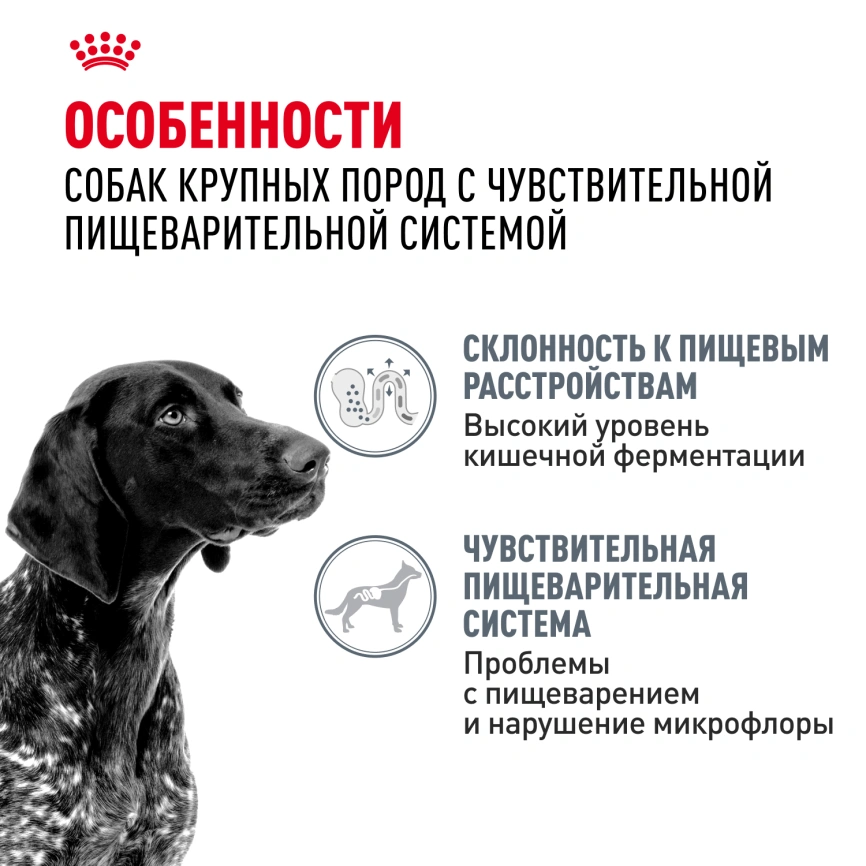 Сухой корм Royal Canin Maxi Digestive Care для собак, 12 кг фото 2