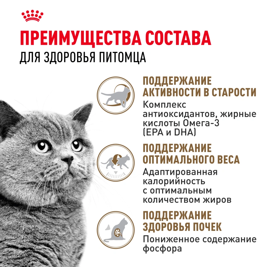 Сухой корм Royal Canin Ageing Sterilised 12+ для стерилизованных кошек старше 12 лет, 400 г фото 2