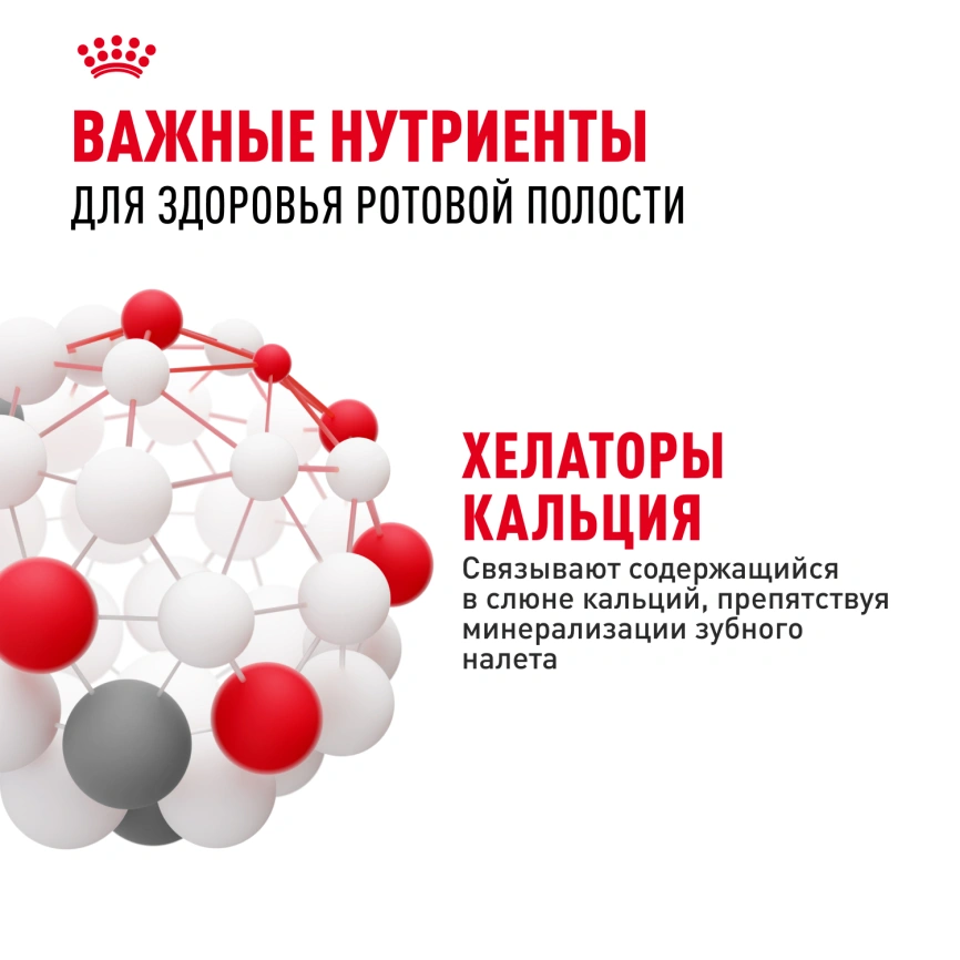 Сухой корм Royal Canin Dental Care для кошек, 1,5 кг фото 5