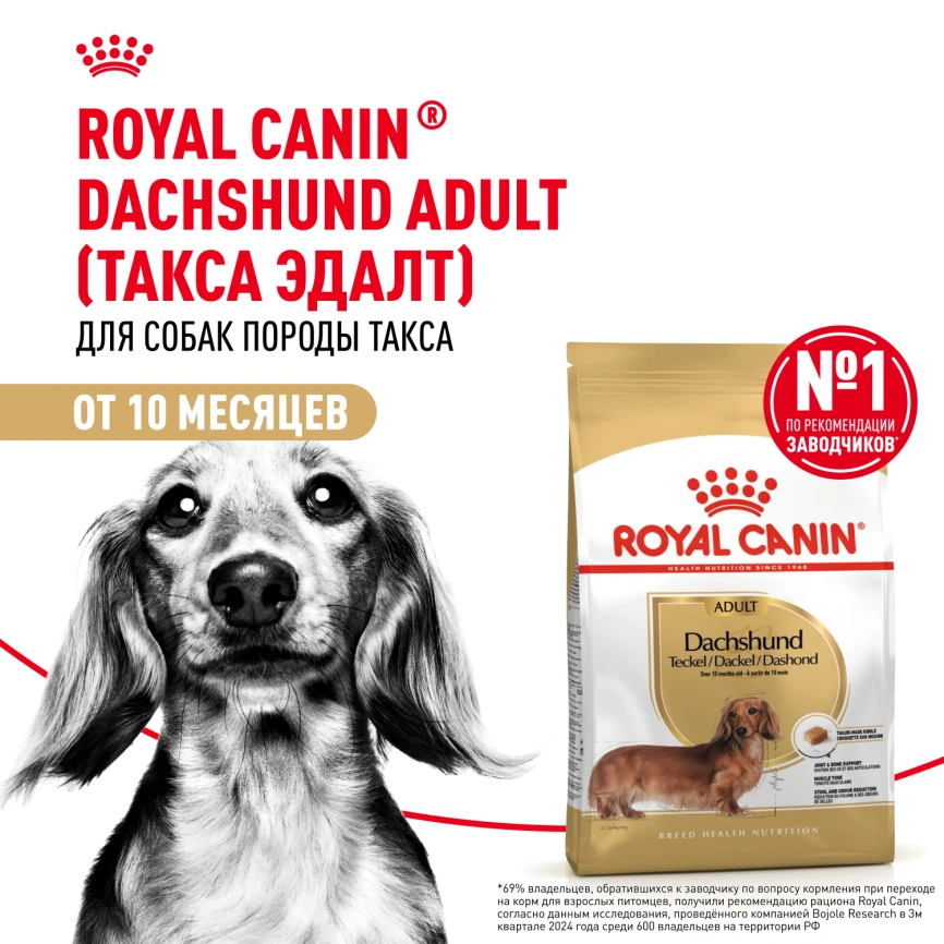 Сухой корм Royal Canin Dachshund Adult для собак породы такса, 1,5 кг фото 13