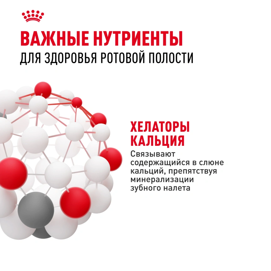 Сухой корм Royal Canin Mini Dental Care для собак, 1 кг фото 5