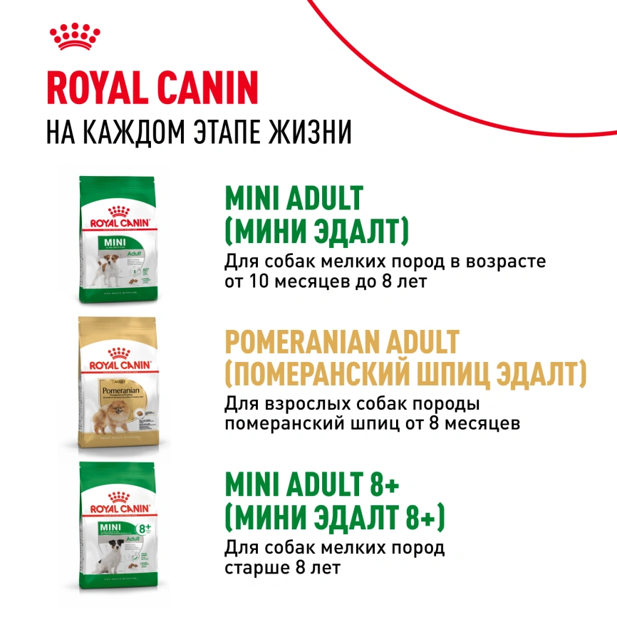 Сухой корм Royal Canin Mini Indoor Adult для собак, 3 кг фото 11