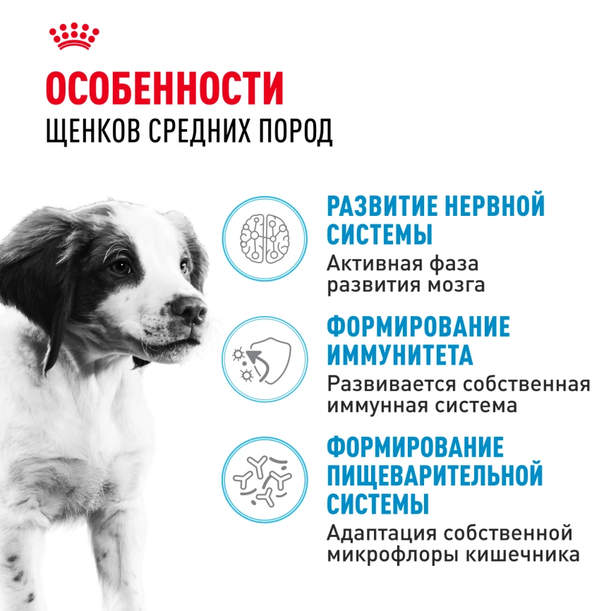 Сухой корм Royal Canin German Shepherd Puppy для щенков, 12 кг фото 2