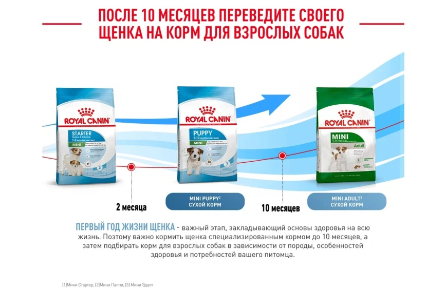 Сухой корм Royal Canin Mini Starter Mother & Babydog для щенков и кормящих сук, 3 кг фото 8
