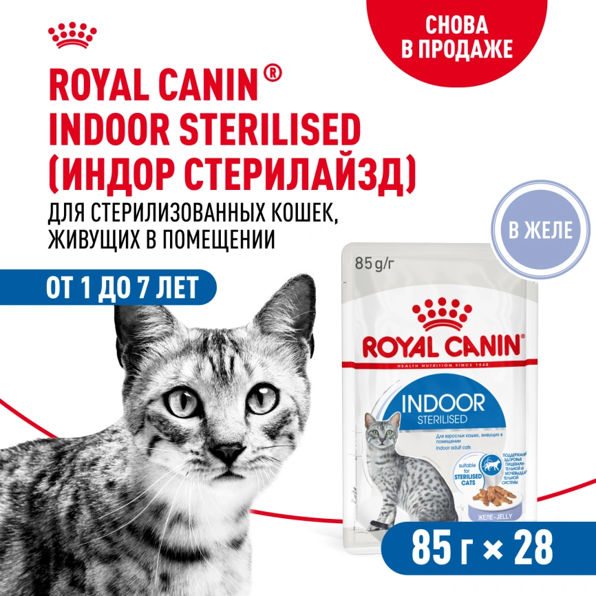 Влажный корм Royal Canin Indoor sterilised в желе для кошек, живущих в помещении, пауч, 85 г фото 13
