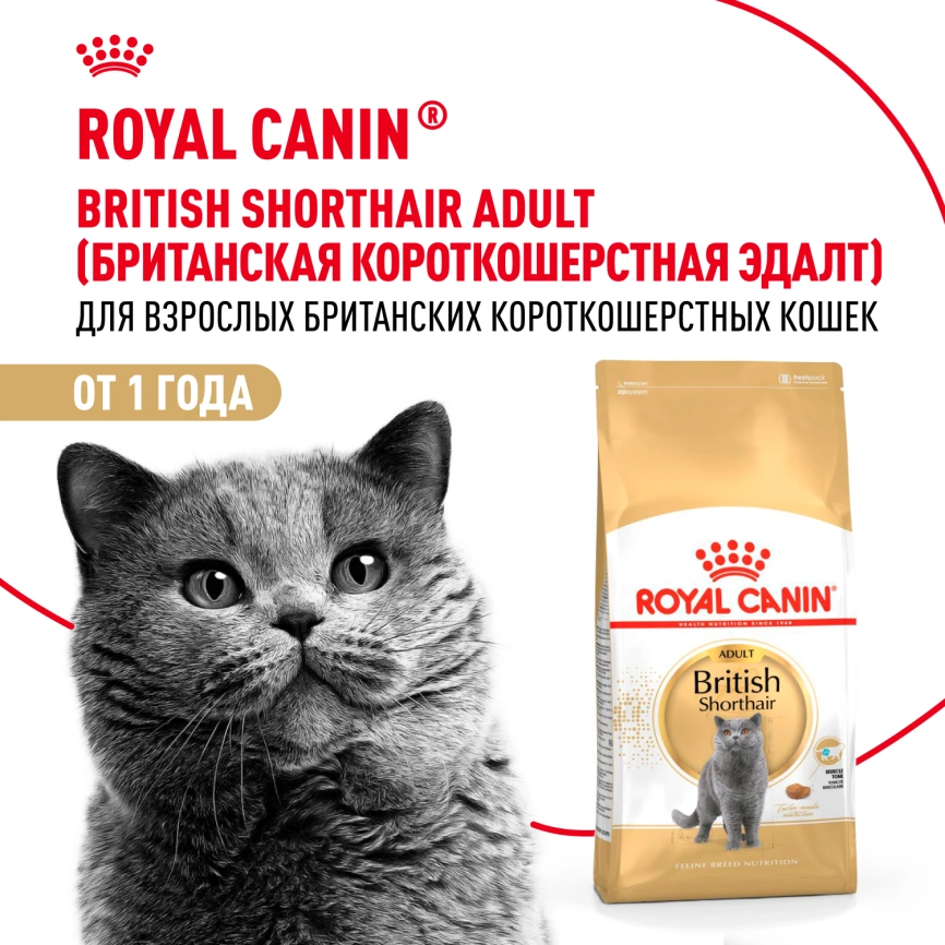 Сухой корм Royal Canin British Shorthair для кошек породы британская короткошерстная, 10 кг фото 15