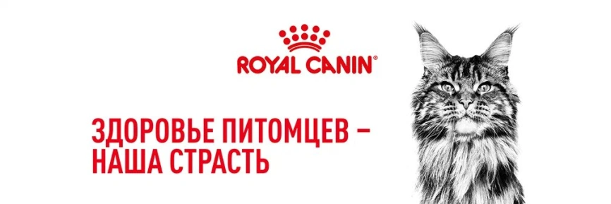 Сухой корм Royal Canin British Shorthair для кошек породы британская короткошерстная, 10 кг фото 17