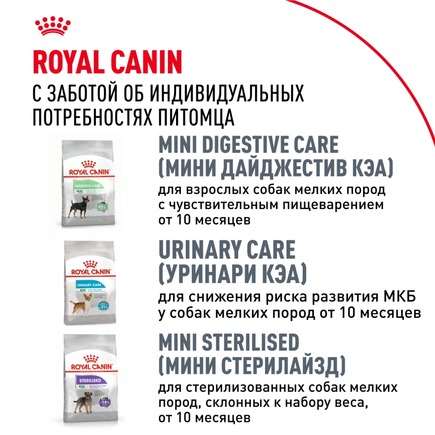 Сухой корм Royal Canin Bulldog Adult для собак породы английский бульдог, 3 кг фото 8