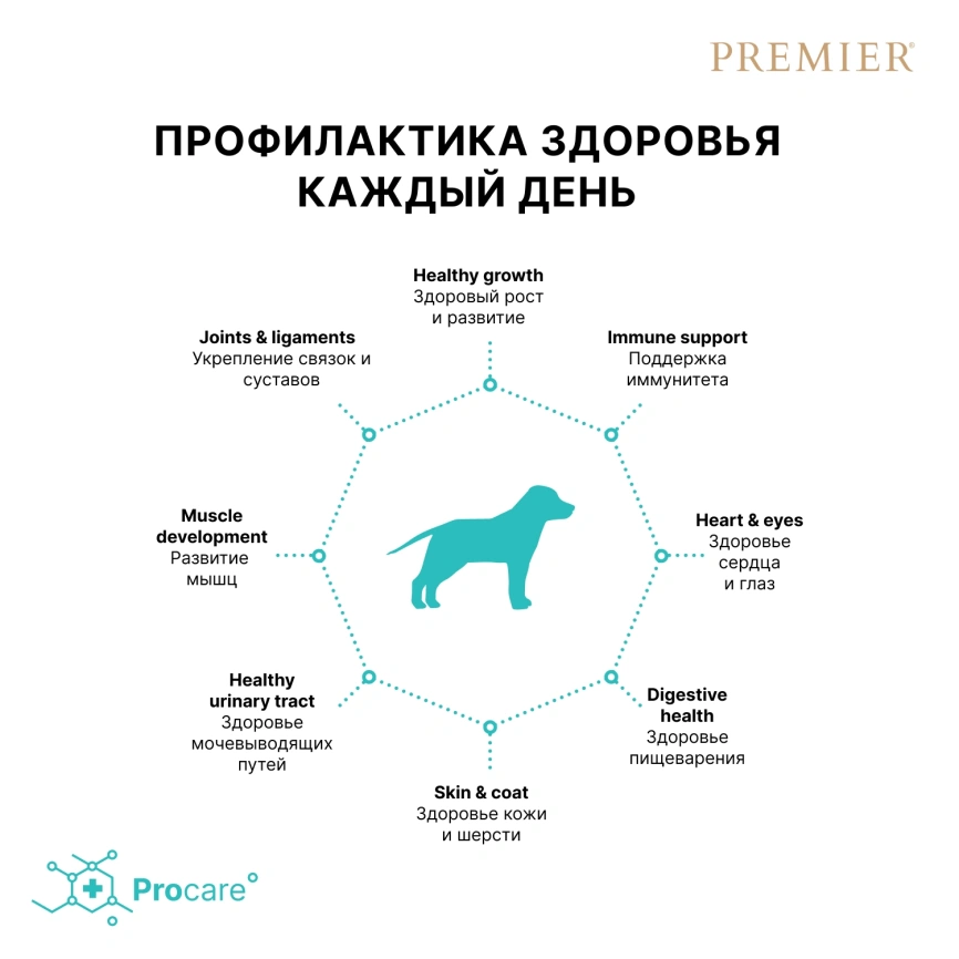 Сухой корм Premier Dog Junior Medium & Maxi Turkey для юниоров средних и крупных пород, с индейкой, 10 кг фото 4