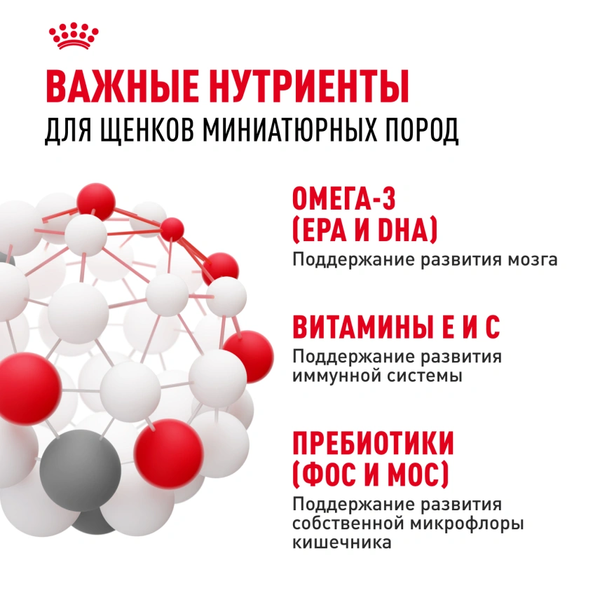 Сухой корм Royal Canin X-Small Puppy для щенков, 1,5 кг фото 6