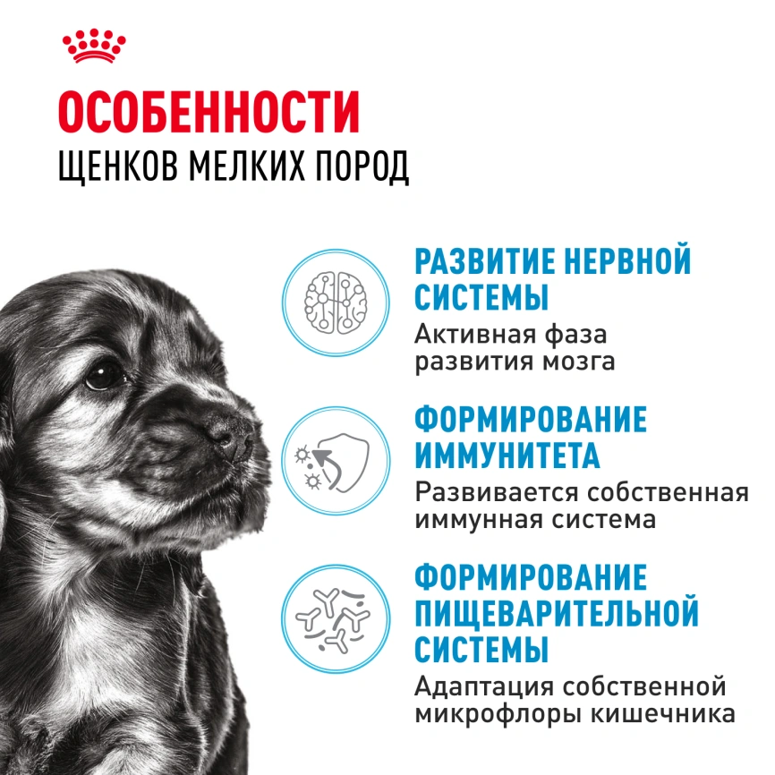 Сухой корм Royal Canin Mini Puppy для щенков, 2 кг фото 2