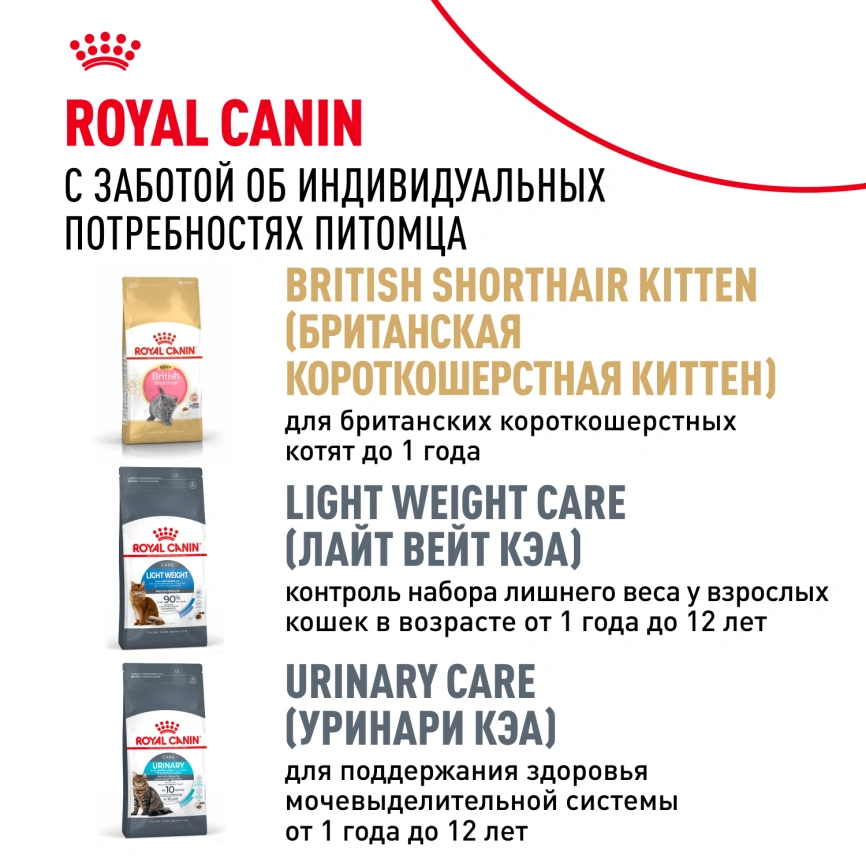 Сухой корм Royal Canin British Shorthair для кошек породы британская короткошерстная, 10 кг фото 10