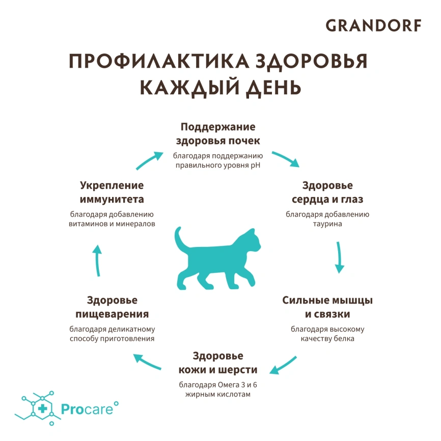 Сухой корм Grandorf Kitten Lamb & Turkey для котят, с ягнёнком и индейкой, 2 кг фото 4