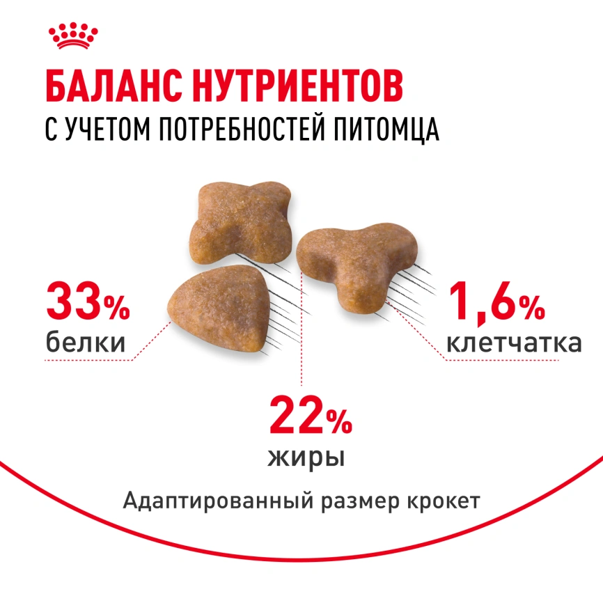 Сухой корм Royal Canin Sensible для кошек, 1,2 кг фото 5